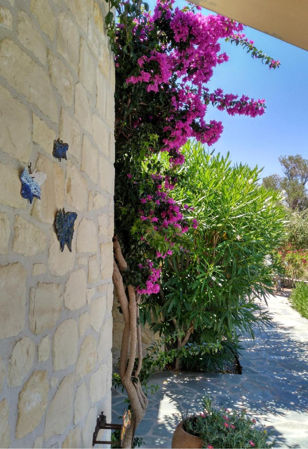 Olympia Villa *